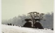 Peter Brook