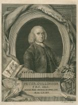 Peter Collinson