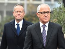 Peter Cosgrove