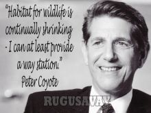 Peter Coyote