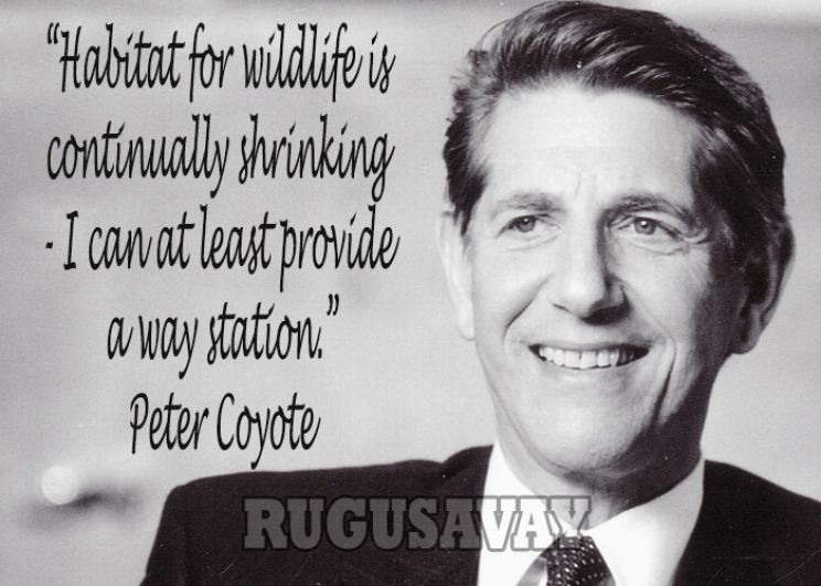 Peter Coyote