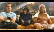 Peter Dante