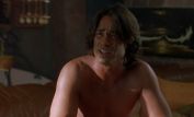 Peter Dante