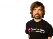 Peter Dinklage