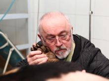 Peter Egan