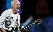 Peter Frampton