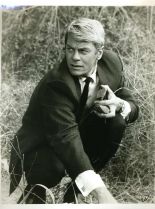 Peter Graves