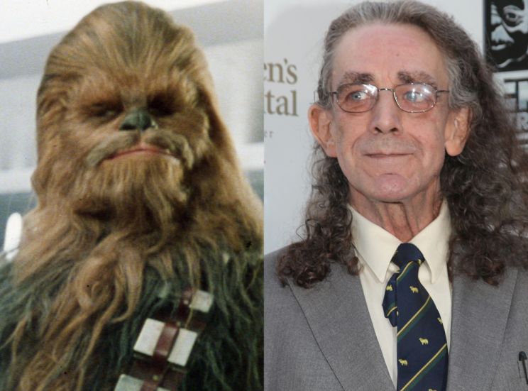 Peter Mayhew