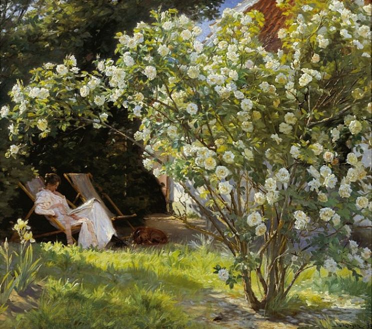 Peter Skagen