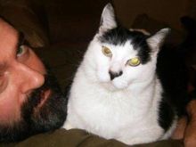 Peter Steele #3383942 picture (Landscape Medium)
