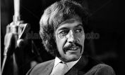 Peter Wyngarde