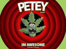 Petey