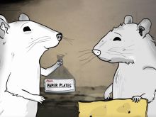 Phil Matarese