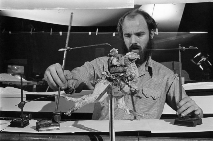 Phil Tippett