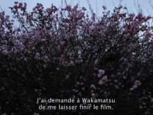 Philippe Grandrieux
