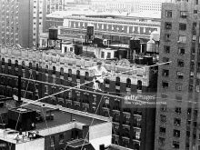 Philippe Petit