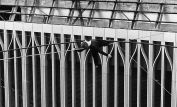 Philippe Petit