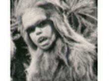 Phillip Paley