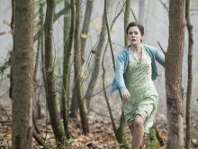 Phoebe Fox #247943 picture (Landscape Medium)