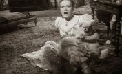 Phyllis Calvert