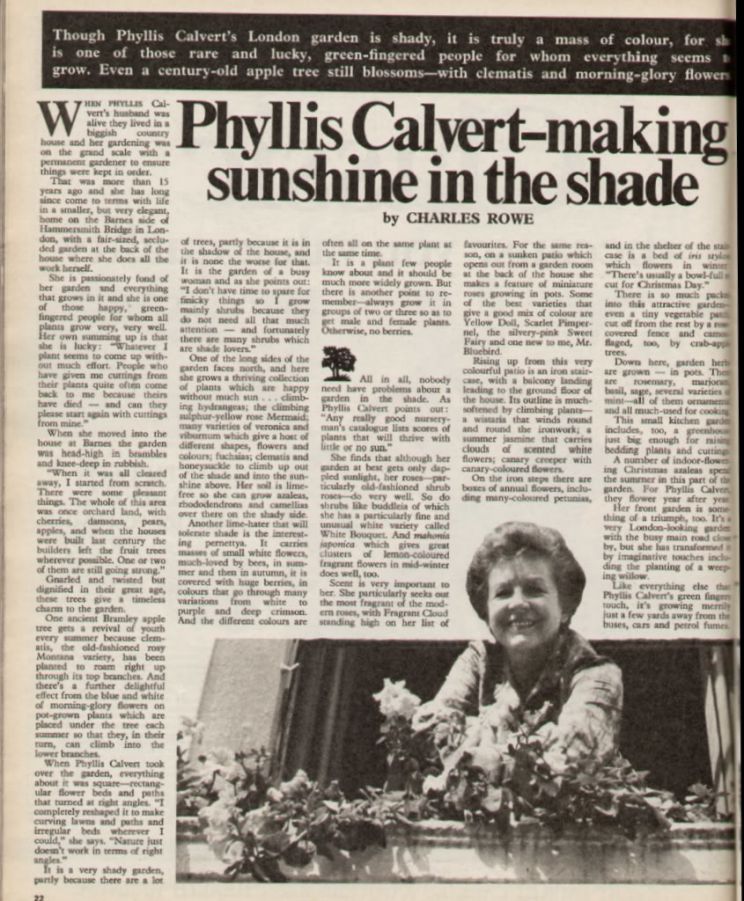 Phyllis Calvert