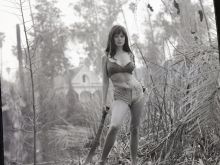 Phyllis Love