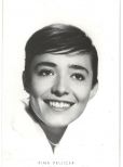 Pina Pellicer