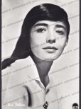 Pina Pellicer