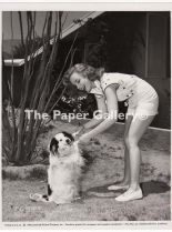 Piper Laurie photo