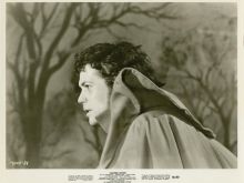 Pippa Steel photo