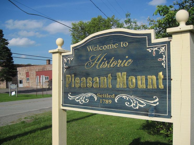 Pleasant Wayne