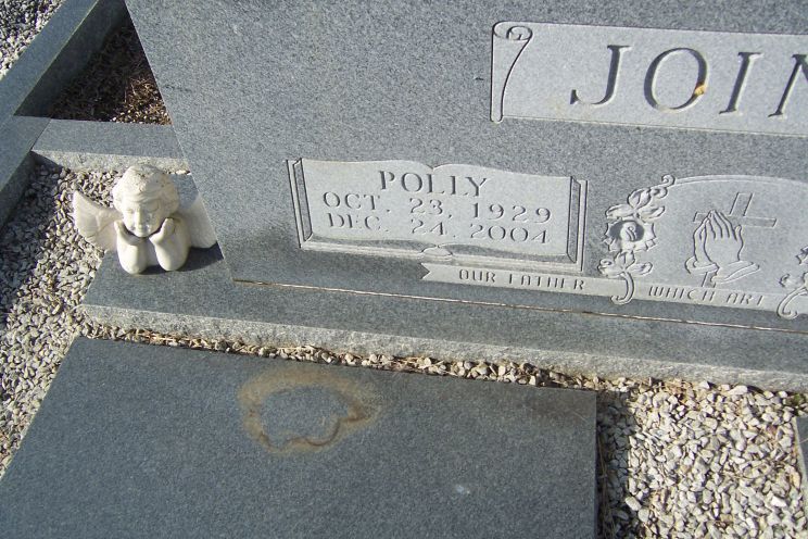 Polly Lee