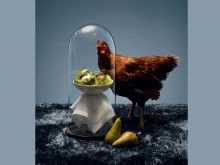 Polly Morgan