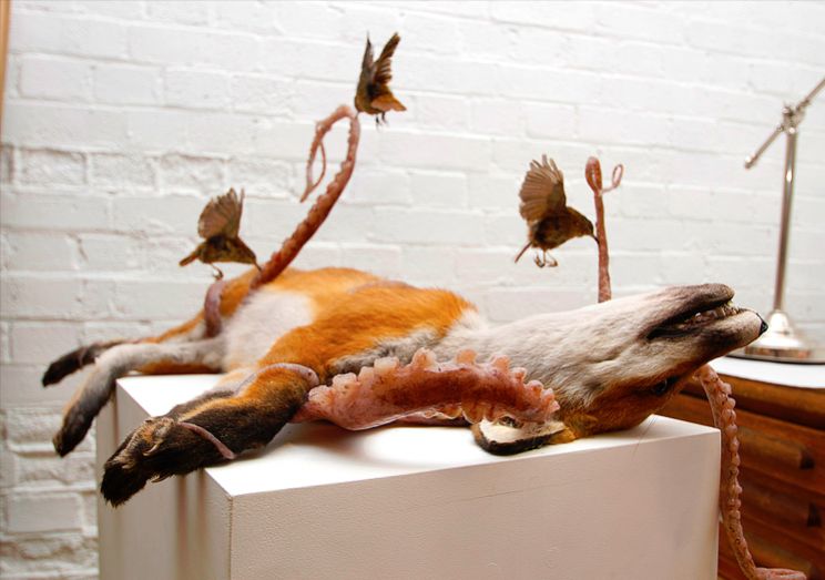 Polly Morgan