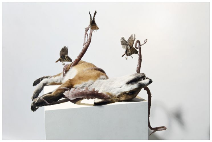 Polly Morgan