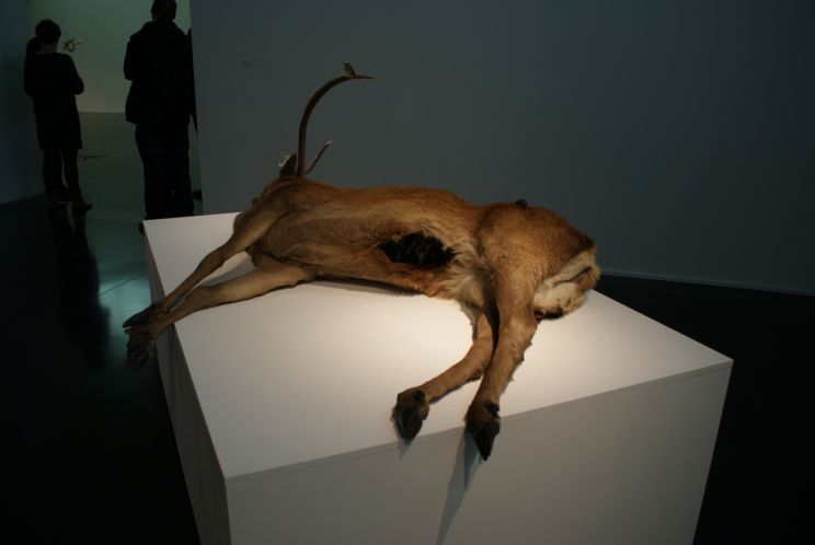 Polly Morgan