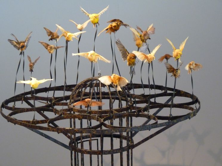 Polly Morgan