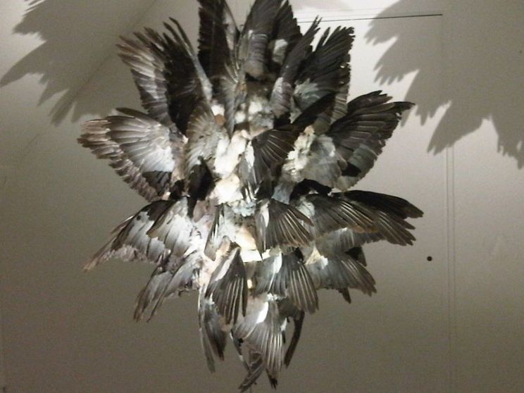 Polly Morgan