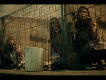 Pollyanna McIntosh