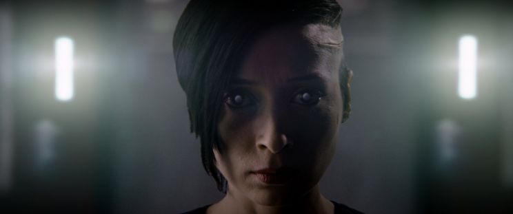Pooneh Hajimohammadi