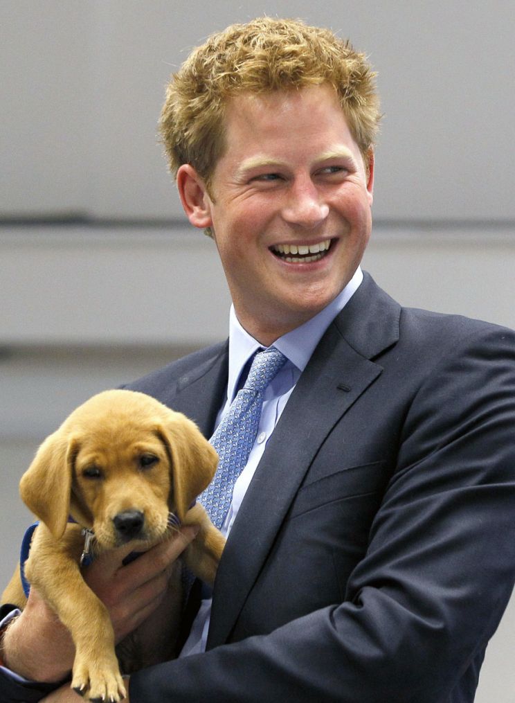 Prince Harry Windsor