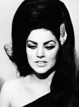 Priscilla Presley