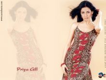 Priya Gill photo