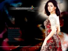 Priya Gill photo