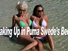 Puma Swede