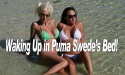 Puma Swede