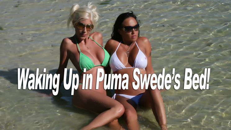 Puma Swede