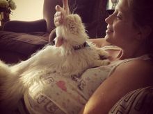 Rachael Coopes photo