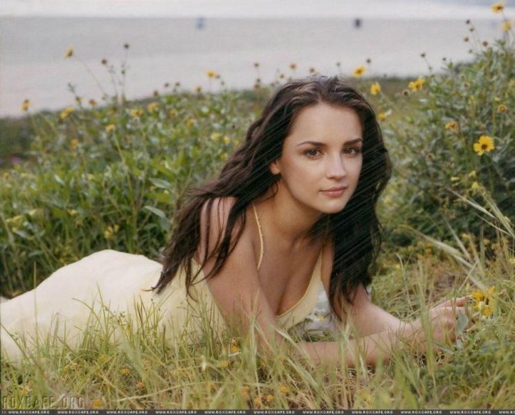 Rachael Leigh Cook