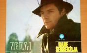 Rade Serbedzija